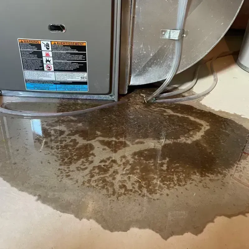 Appliance Leak Cleanup in Bardstown, KY